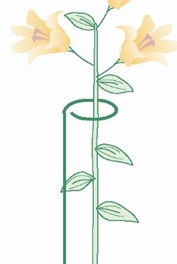 Bosmere 24" Single Plant Stem Support with 3" Hoop, 3-Pack