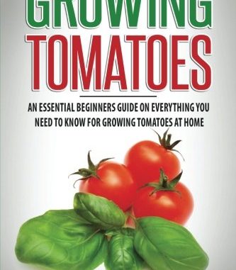 Growing Tomatoes: An Essential Beginners Guide on Everything...