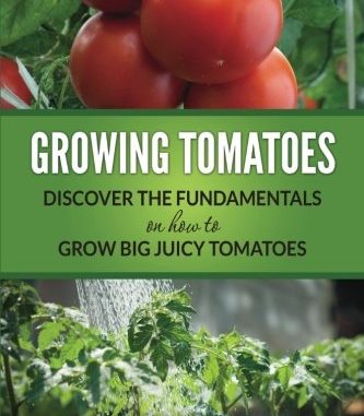 Growing Tomatoes: Discover The Fundamentals On How To Grow B...
