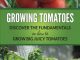 Growing Tomatoes: Discover The Fundamentals On How To Grow B...
