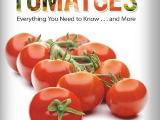 Growing Tomatoes: Everything You Need to Know . . . and More