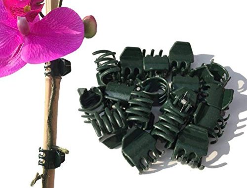 Vtete 50 PCS Large Size Orchid Clips and Garden Support Clip...