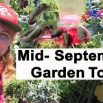 Garden Tour Mid-September Container Gardening & Woodchips Sq...