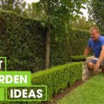 Tips & Tricks For Perfect Hedging | Gardening | Great Home I...